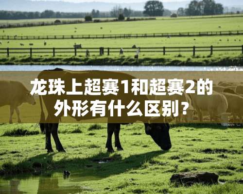 龙珠上超赛1和超赛2的外形有什么区别？