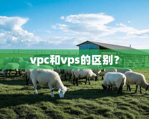 vpc和vps的区别？