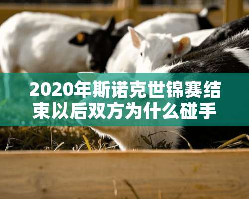 2020年**克世锦赛结束以后双方为什么碰手臂？