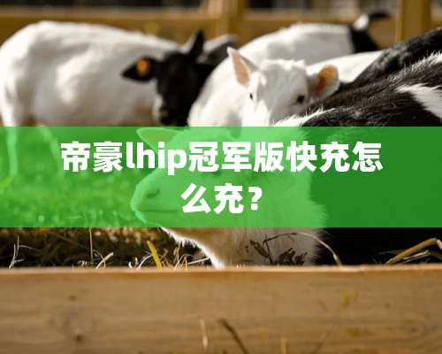 帝豪lhip冠军版快充怎么充？