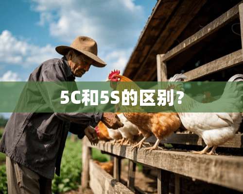 5C和5S的区别？