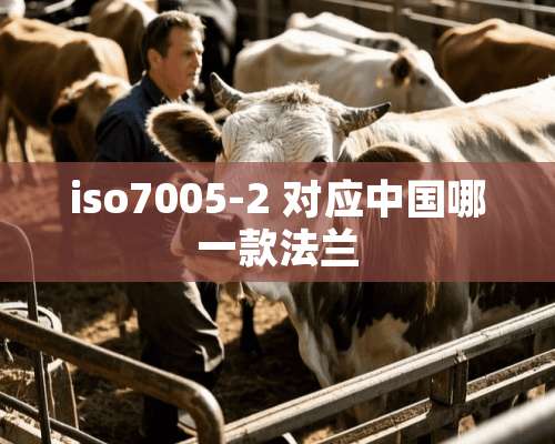 iso7005-2 对应中国哪一款法兰