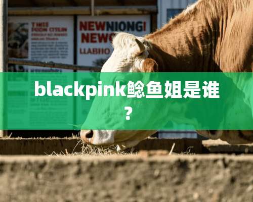 blackpink鲶鱼姐是谁？