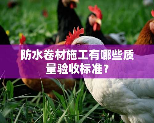 防水卷材施工有哪些质量验收标准？