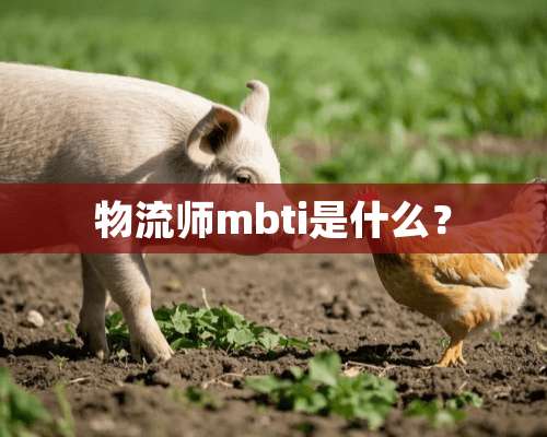 物流师mbti是什么？