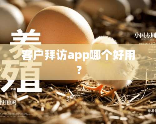 客户拜访app哪个好用？