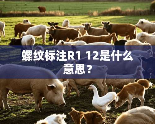 螺纹标注R1 12是什么意思？