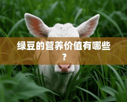 绿豆的营养价值有哪些？