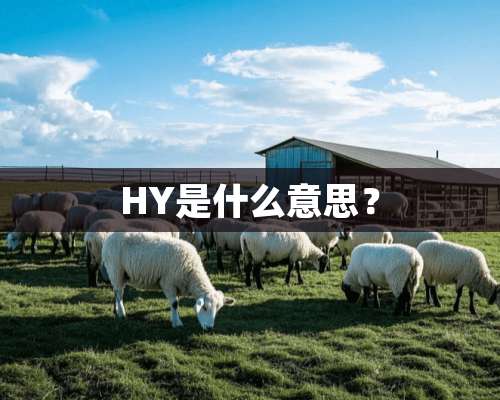 HY是什么意思？