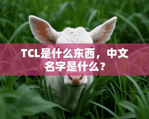 TCL是什么东西，中文名字是什么？