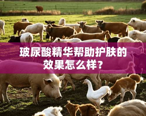 玻尿酸精华帮助护肤的效果怎么样？