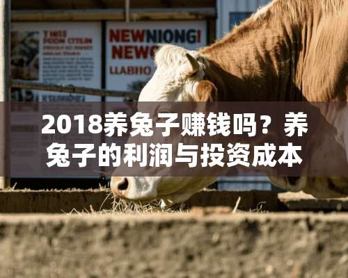 2018养兔子赚钱吗？养兔子的利润与投资成本及前景预测