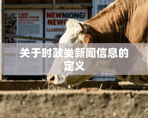 关于时政类新闻信息的定义