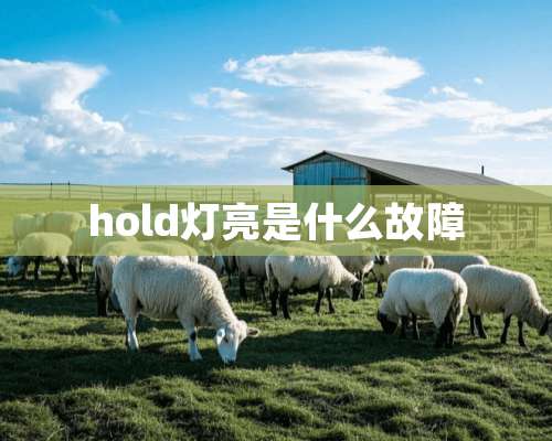 hold灯亮是什么故障