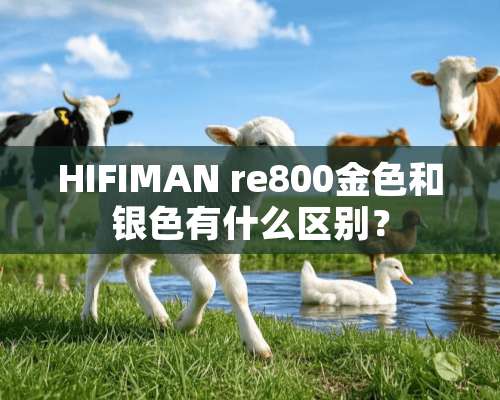 HIFIMAN re800金色和银色有什么区别？