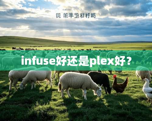 infuse好还是plex好？