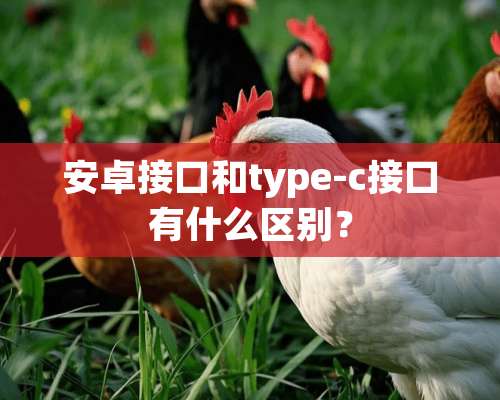 安卓接口和type-c接口有什么区别？