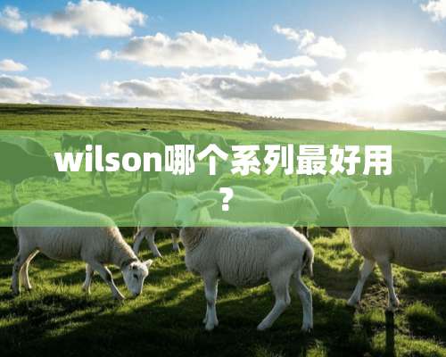 wilson哪个系列最好用？