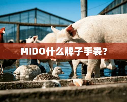 MIDO什么牌子手表？