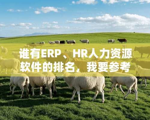 谁有ERP、HR人力资源软件的排名，我要参考购考勤软件、力资源软件？