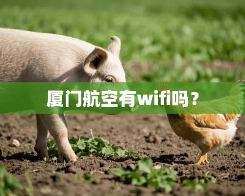 厦门航空有wifi吗？