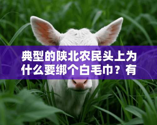 典型的陕北农民头上为什么要绑个白毛巾？有什么典故没？