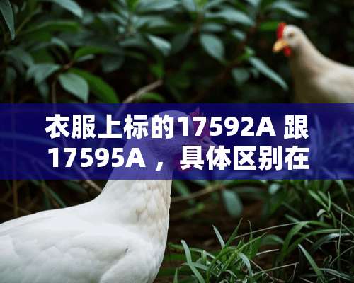 衣服上标的17592A 跟17595A ，具体区别在哪里？