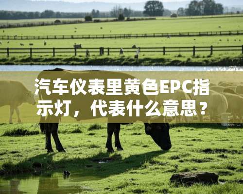 汽车仪表里**EPC指示灯，代表什么意思？