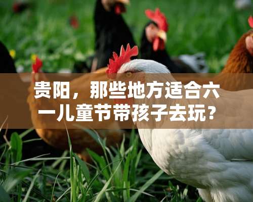 贵阳，那些地方适合六一儿童节带孩子去玩？