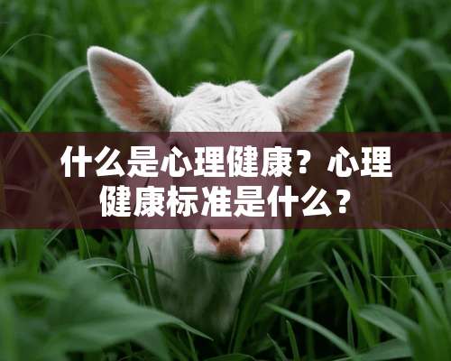 什么是心理健康？心理健康标准是什么？