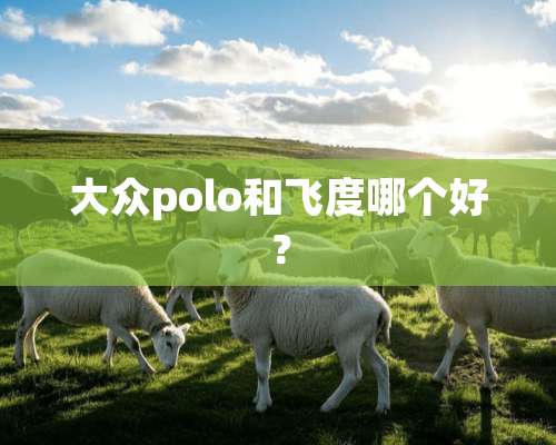 大众polo和飞度哪个好？