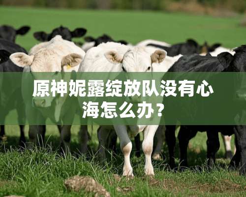 原神妮露绽放队没有心海怎么办？