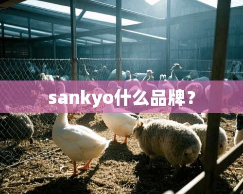 sankyo什么品牌？