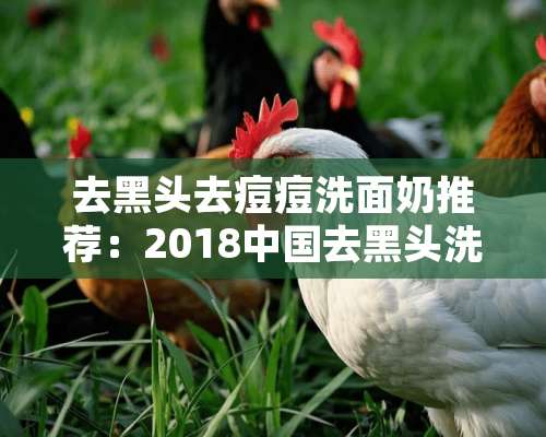 去黑头去痘痘洗面奶推荐：2018中国去黑头洗面奶排行榜10强？