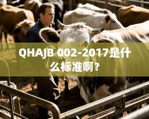 QHAJB 002-2017是什么标准啊？