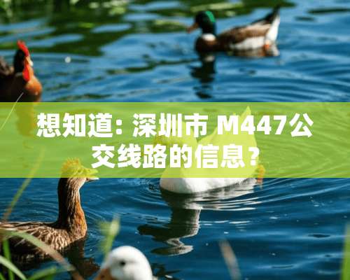 想知道: 深圳市 M447公交线路的信息？