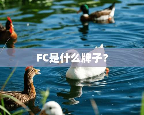 FC是什么牌子？