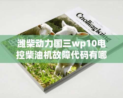 潍柴动力国三wp10电控柴油机故障代码有哪些？