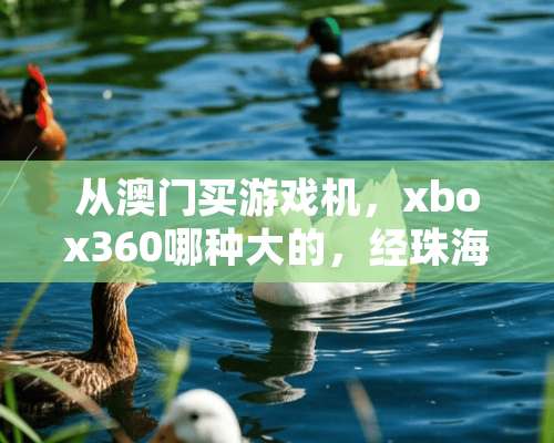 从**买游戏机，xbox360哪种大的，经珠海海关要交税吗？