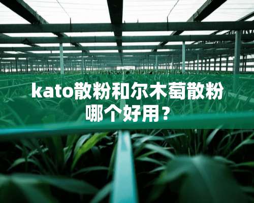 kato散粉和尔木萄散粉哪个好用？