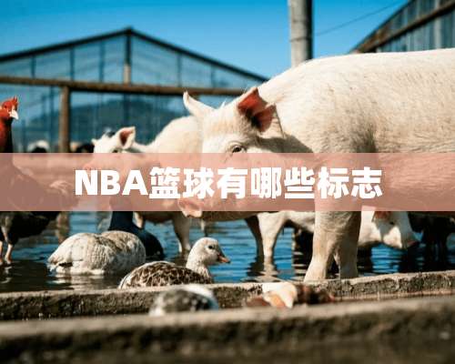 NBA篮球有哪些标志