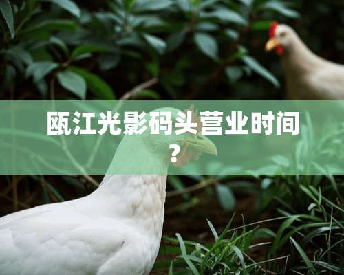 瓯江光影码头营业时间？