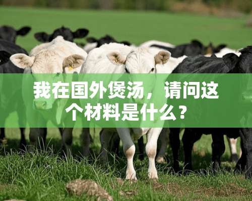 我在国外煲汤，请问这个材料是什么？