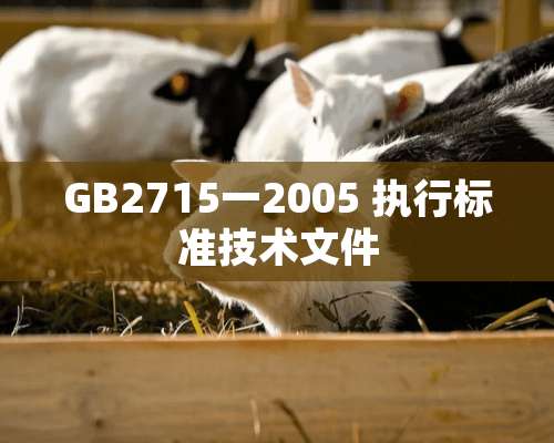 GB2715一2005 执行标准技术文件