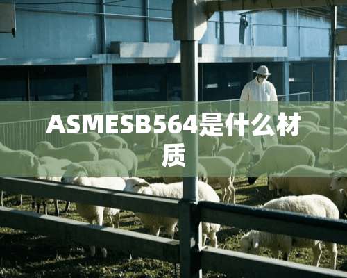 ASMESB564是什么材质