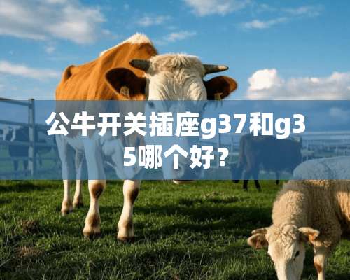 公牛开关插座g37和g35哪个好？