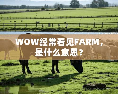 WOW经常看见FARM，是什么意思？