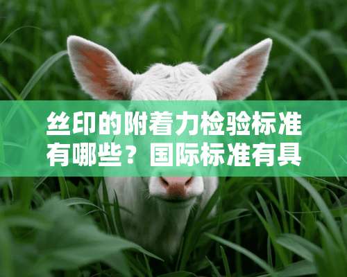 丝印的附着力检验标准有哪些？国际标准有具体的要求吗？