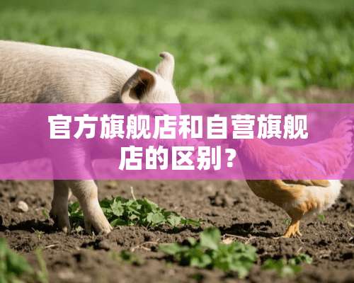 官方旗舰店和自营旗舰店的区别？