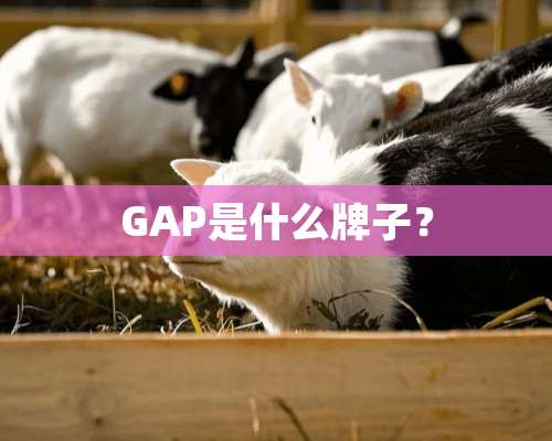 GAP是什么牌子？